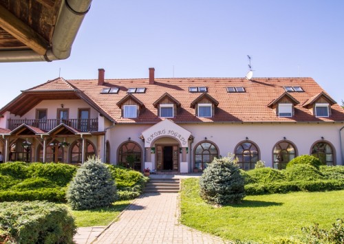 Relax a Sokorói domboknál